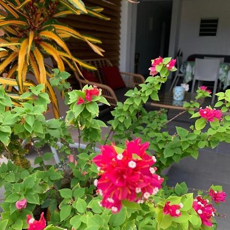 Le Tropical Appartement 1 Ou 2 Chambres Les Anses-d'Arlets Exterior foto